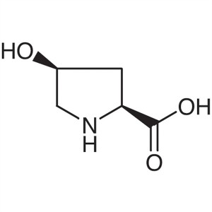 cis-4-Hydroxy-L-Proline CAS 618-27-9 Assay ≥98.0% (HPLC) e.e ≥98.0%