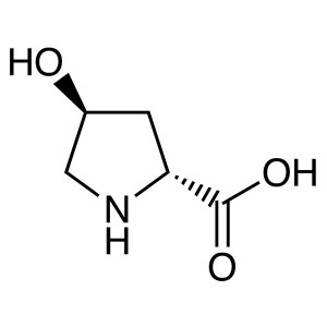 trans-4-Hydroxy-D-Proline CAS 3398-22-9 (H-D-Hyp-OH) Assay >98.0% (T) (HPLC) E.E >98.0% Factor